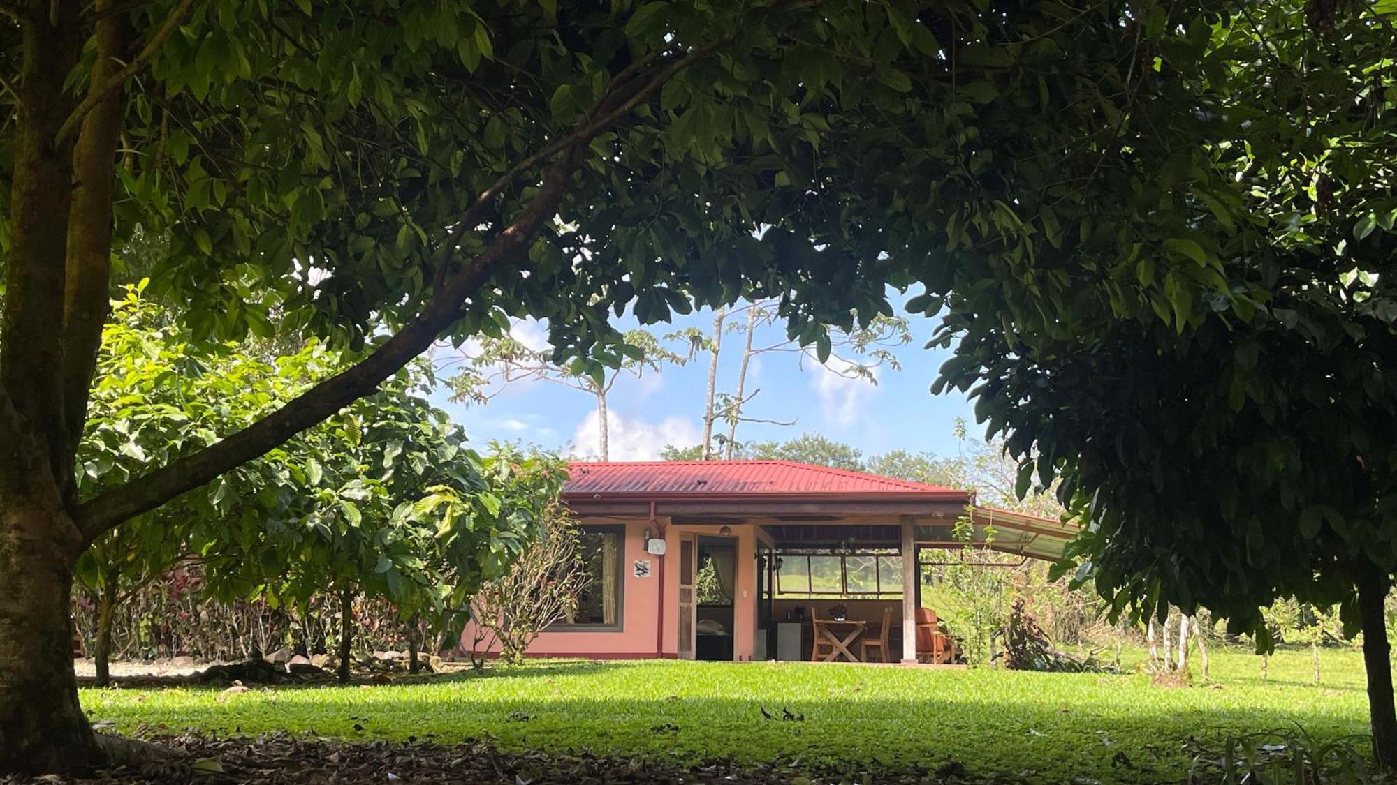 Mei Tai Cacao Lodge Bijagua Kültér fotó
