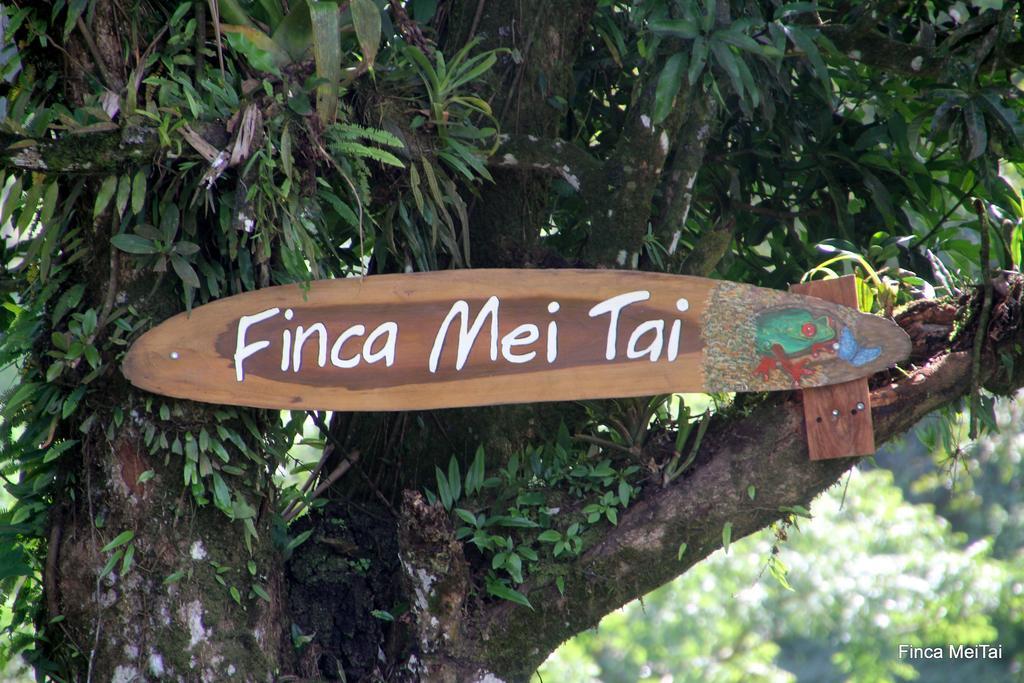 Mei Tai Cacao Lodge Bijagua Kültér fotó