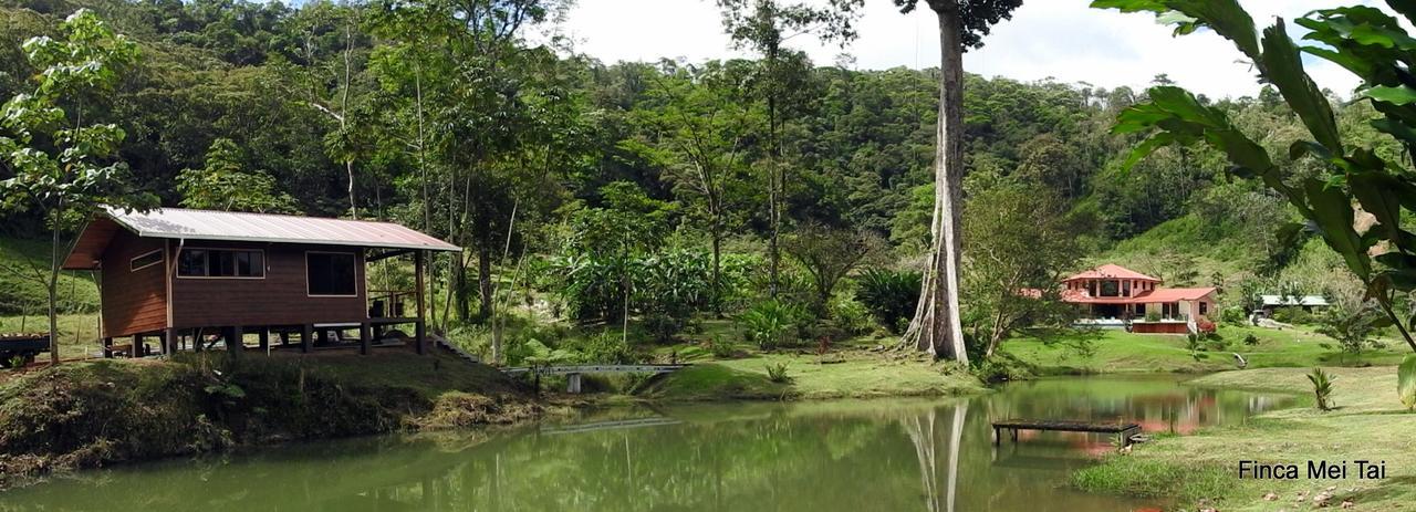 Mei Tai Cacao Lodge Bijagua Kültér fotó