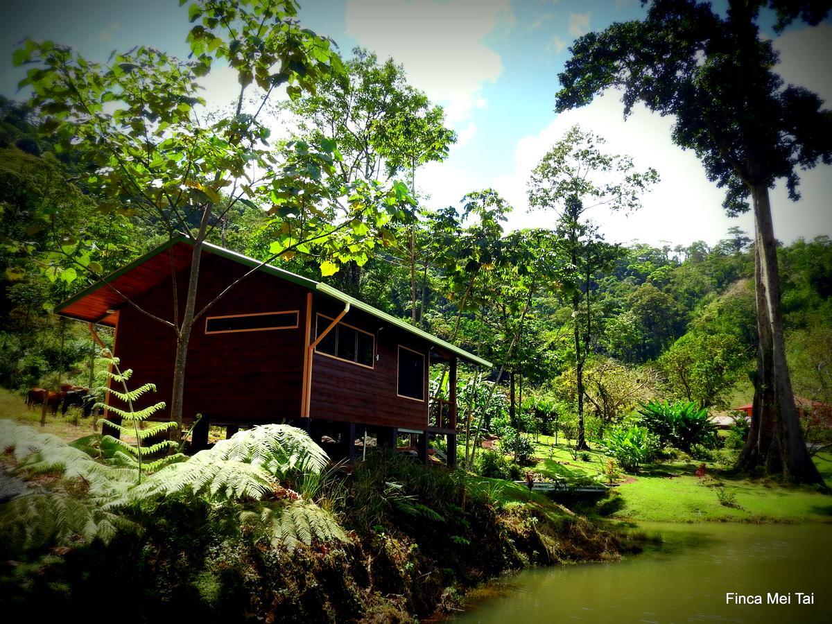 Mei Tai Cacao Lodge Bijagua Kültér fotó