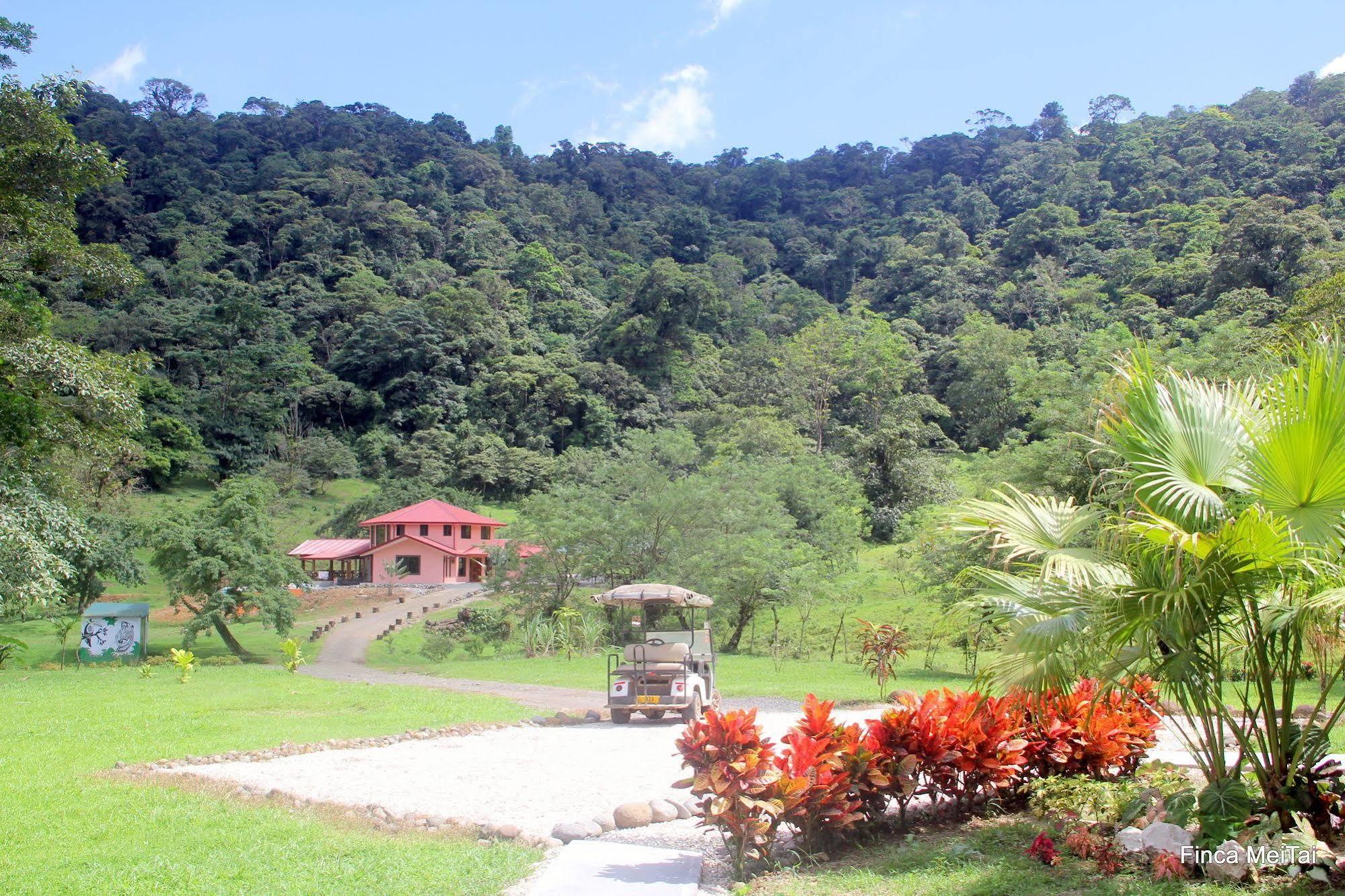 Mei Tai Cacao Lodge Bijagua Kültér fotó